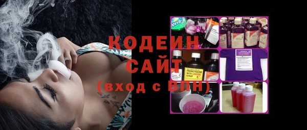 хмурый Абаза