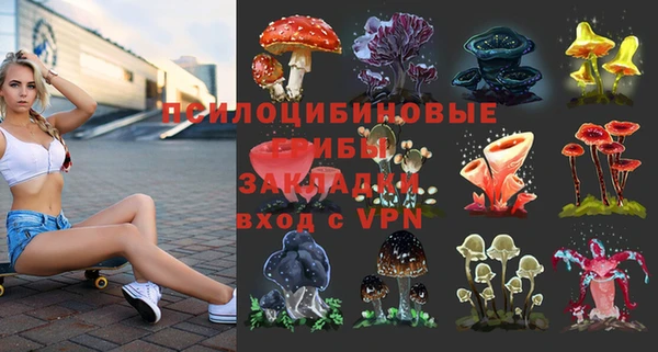 прущий лед Алексеевка