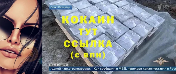 хмурый Абаза