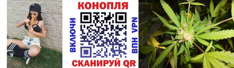 где купить   Николаевск-на-Амуре  Бошки Шишки Ganja 